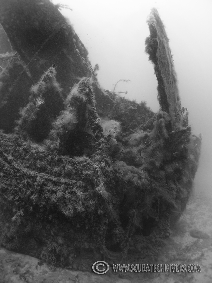 Black and white version of stern of HMS Cricket