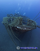 Bow of the alexandria wreck in cyprus