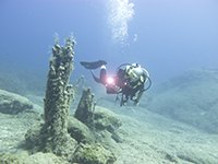 learning to dive with BSAC courses in cyprus