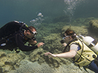 Instructor Peter teaches a diver to scuba dive