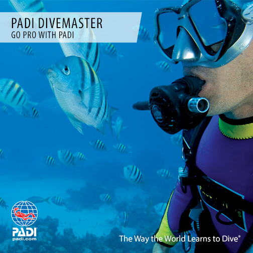 padi divemaster traing courses in cyprus. be the best you can be