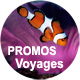 Vacances plongee