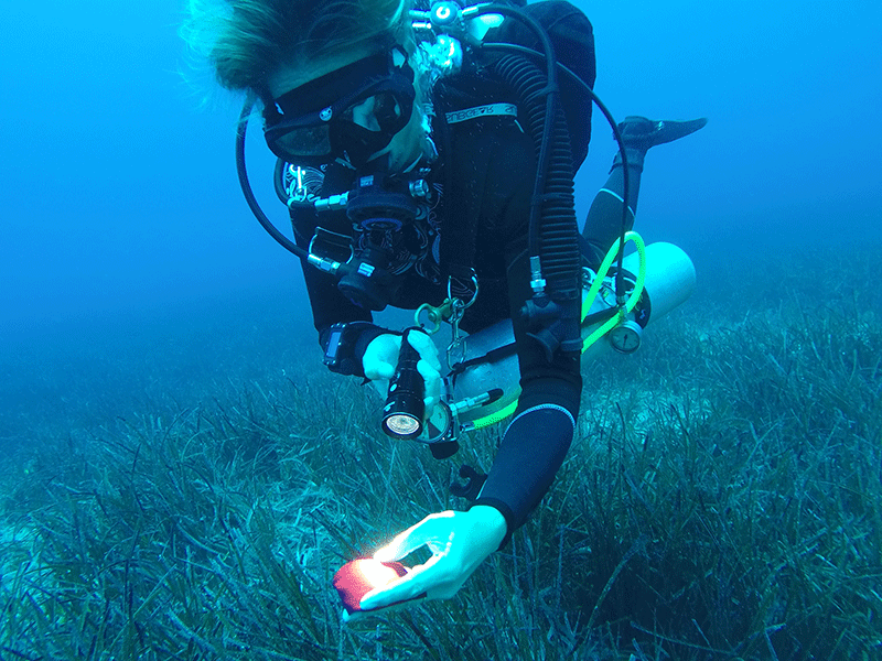 SDI instructor shows the colour loss underwater on a Deep Diver Specialty course