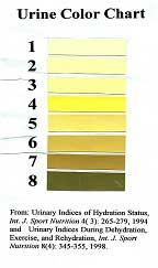 Urine colour chart for diver dehydration
