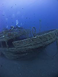 Cyprus wrecks, the alexandria wreck in cyprus