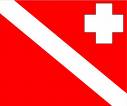 diver's alert network. Diver insurance and diving research