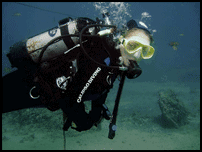 bsac dive leader referral with bsac diving in cyprus