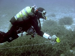 dive training skills in cyprus with scuba tech dive centre