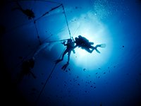 scuba divers on the wreck of zenobia