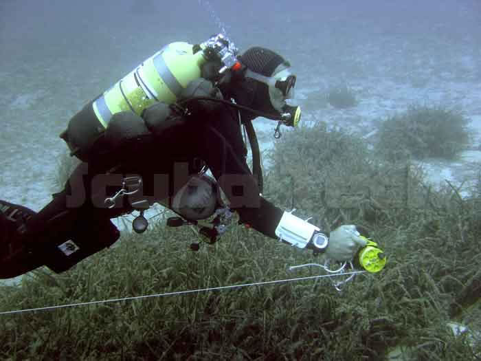 practicing line skills as a technical diver