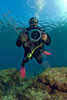 green bay divers
