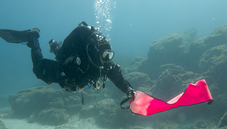 Scuba Diving lessons from beginner to Divemaster with PADI and SDI