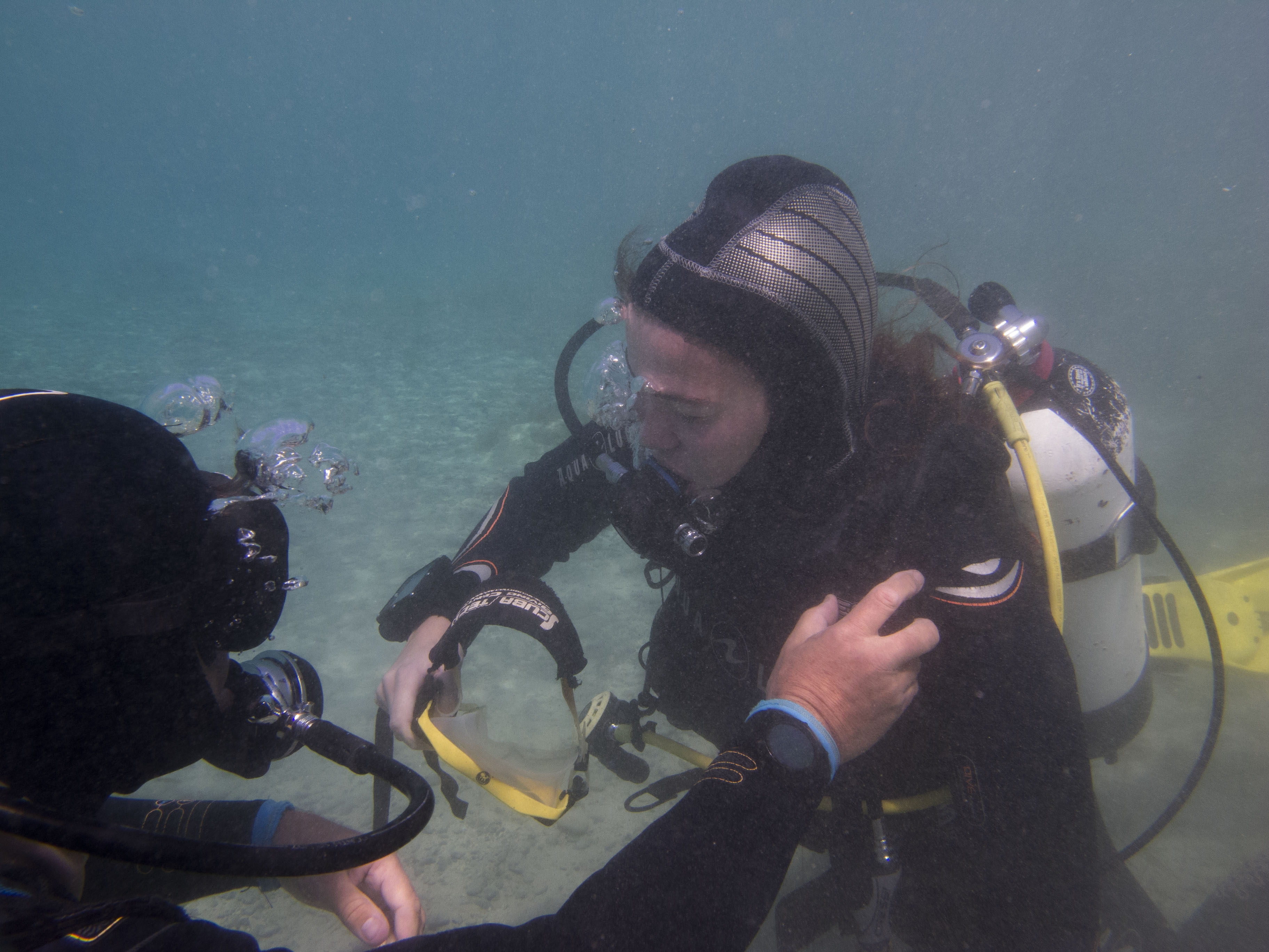 skills training for an open water certification