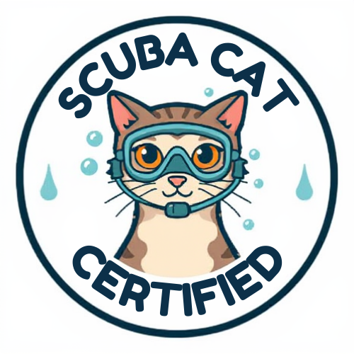 scuba cat qualified
