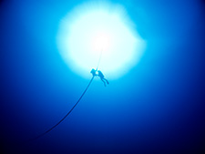 Deep diver specialty