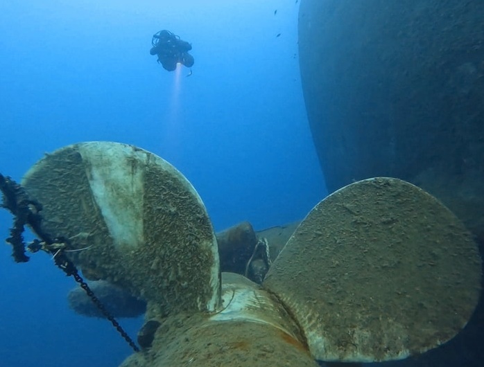 Zenobia cargo trucks