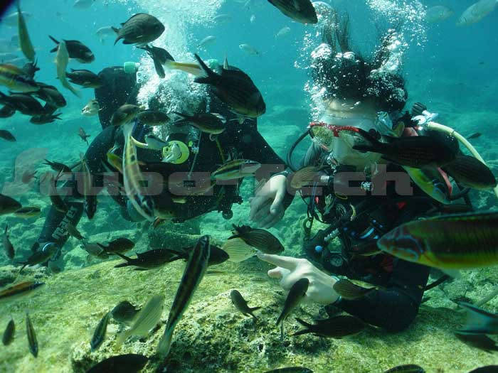 Discover Scuba Divers at Green Bay